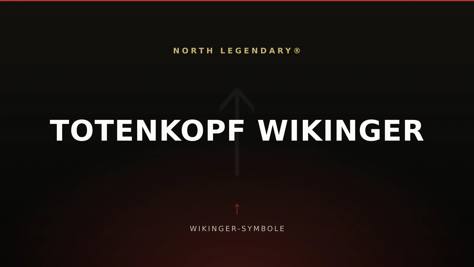 Stilisierter Totenkopf mit Wikinger-Helm vor dunklem Hintergrund, im Stil moderner nordischer Streetwear